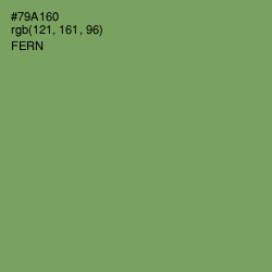 #79A160 - Fern Color Image