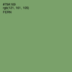 #79A169 - Fern Color Image