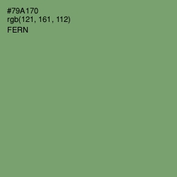 #79A170 - Fern Color Image