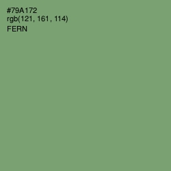 #79A172 - Fern Color Image