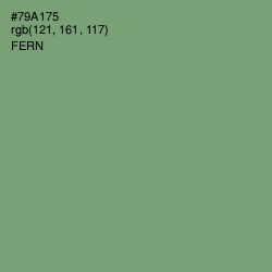 #79A175 - Fern Color Image
