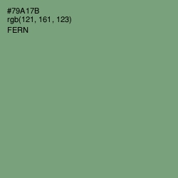 #79A17B - Fern Color Image