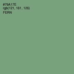 #79A17E - Fern Color Image