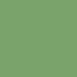 #79A36B - Fern Color Image