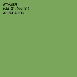 #79A65B - Asparagus Color Image