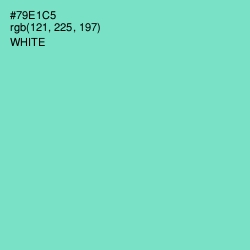 #79E1C5 - Aquamarine Color Image