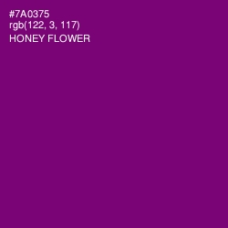 #7A0375 - Honey Flower Color Image