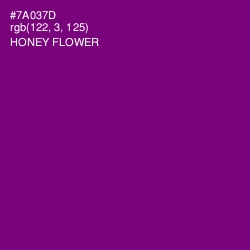 #7A037D - Honey Flower Color Image