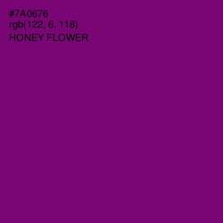 #7A0676 - Honey Flower Color Image