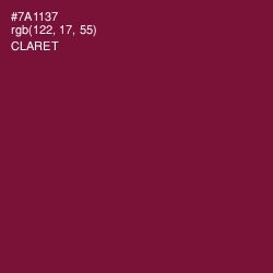 #7A1137 - Claret Color Image