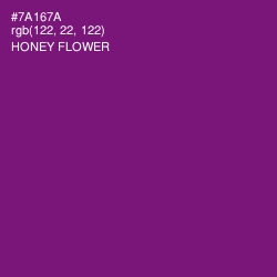 #7A167A - Honey Flower Color Image