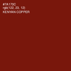 #7A170C - Kenyan Copper Color Image
