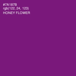 #7A187B - Honey Flower Color Image