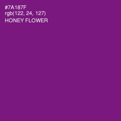 #7A187F - Honey Flower Color Image