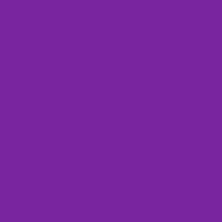 #7A25A0 - Royal Purple Color Image