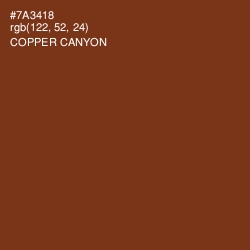 #7A3418 - Copper Canyon Color Image