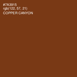 #7A3915 - Copper Canyon Color Image