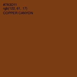 #7A3D11 - Copper Canyon Color Image