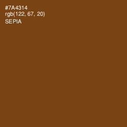 #7A4314 - Sepia Color Image