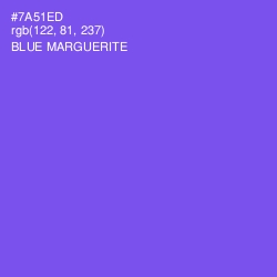 #7A51ED - Blue Marguerite Color Image