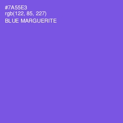 #7A55E3 - Blue Marguerite Color Image