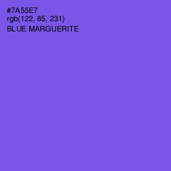 #7A55E7 - Blue Marguerite Color Image