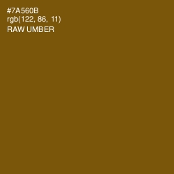 #7A560B - Raw Umber Color Image