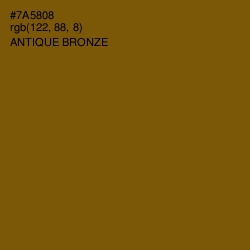 #7A5808 - Antique Bronze Color Image