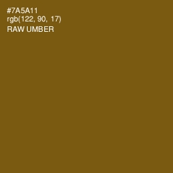 #7A5A11 - Raw Umber Color Image