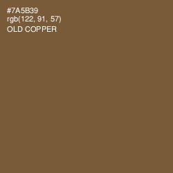 #7A5B39 - Old Copper Color Image