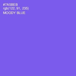 #7A5BEB - Moody Blue Color Image