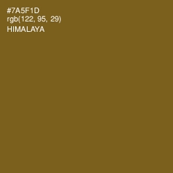 #7A5F1D - Himalaya Color Image