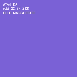 #7A61D5 - Blue Marguerite Color Image