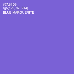 #7A61D6 - Blue Marguerite Color Image