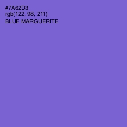 #7A62D3 - Blue Marguerite Color Image