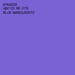 #7A62D5 - Blue Marguerite Color Image