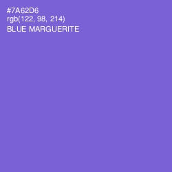 #7A62D6 - Blue Marguerite Color Image