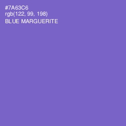 #7A63C6 - Blue Marguerite Color Image