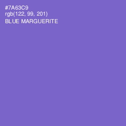 #7A63C9 - Blue Marguerite Color Image