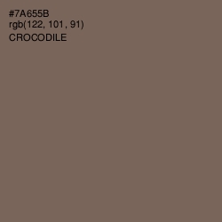 #7A655B - Crocodile Color Image