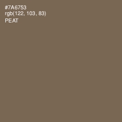 #7A6753 - Peat Color Image