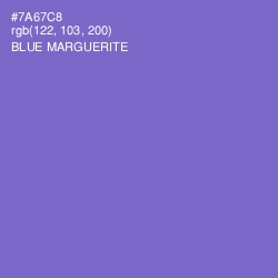 #7A67C8 - Blue Marguerite Color Image