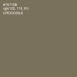 #7A715B - Crocodile Color Image