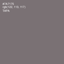 #7A7175 - Tapa Color Image