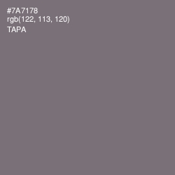 #7A7178 - Tapa Color Image