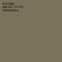 #7A725B - Crocodile Color Image