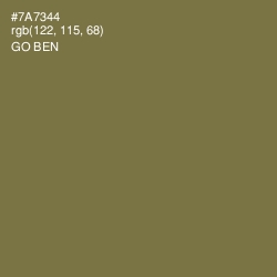 #7A7344 - Go Ben Color Image