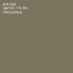 #7A735E - Crocodile Color Image