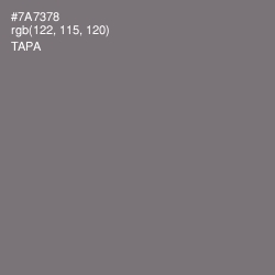 #7A7378 - Tapa Color Image