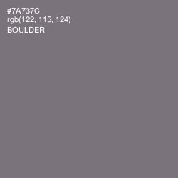 #7A737C - Boulder Color Image